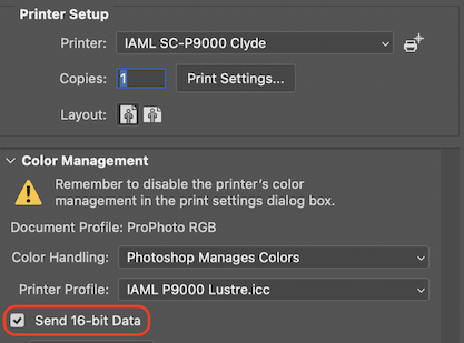 The checkbox is just below Printer Profile in the Color Management section